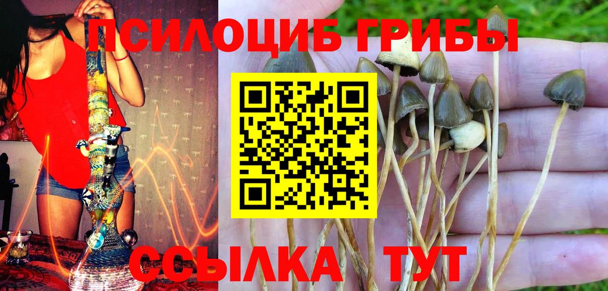 Галлюциногенные грибы GOLDEN TEACHER Кубинка