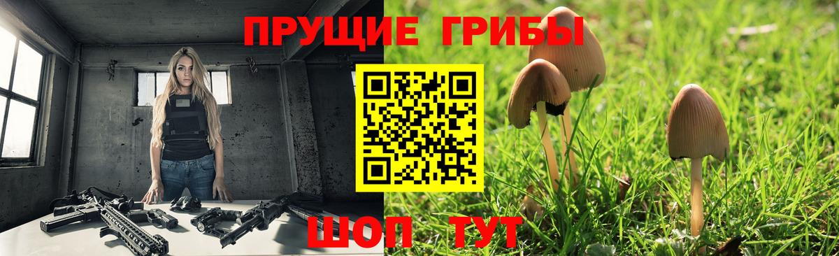 Кубинка  Галлюциногенные грибы Psilocybe  Вход с VPN 